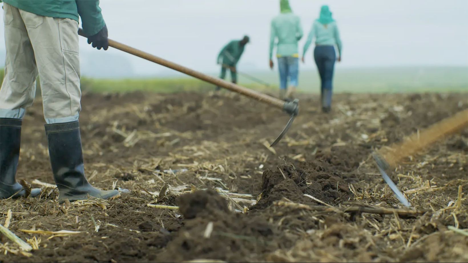 solo de alta qualidade da Angola