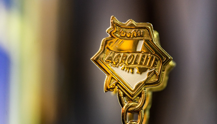 Castrolanda anuncia finalistas do Troféu Agroleite 2025