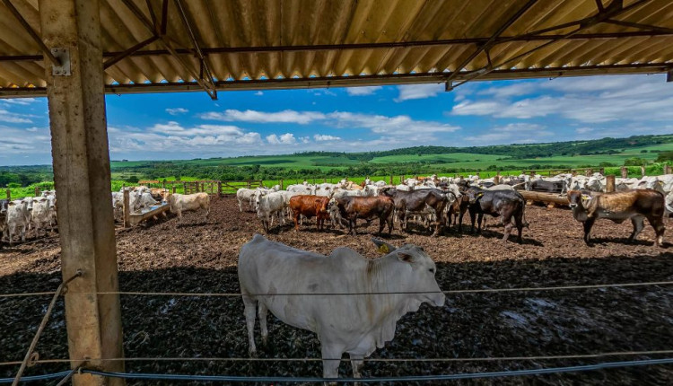Formação técnica gratuita em Agropecuária no interior de São Paulo