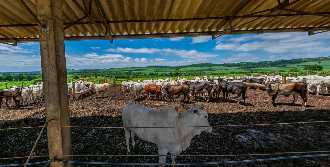Formação técnica gratuita em Agropecuária no interior de São Paulo