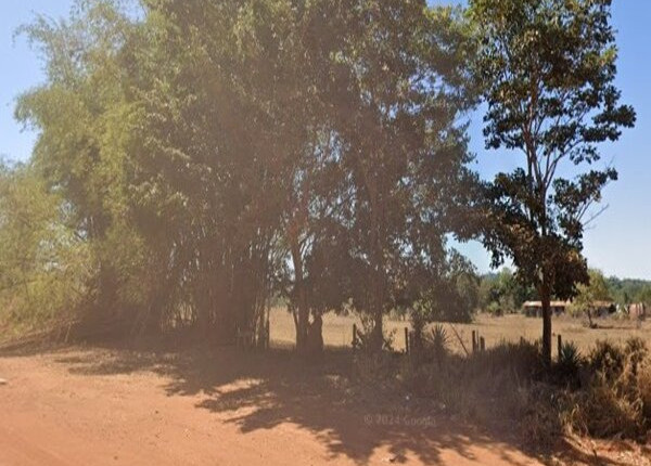 Justiça determina reintegração de posse em área ocupada por 70 famílias em MT