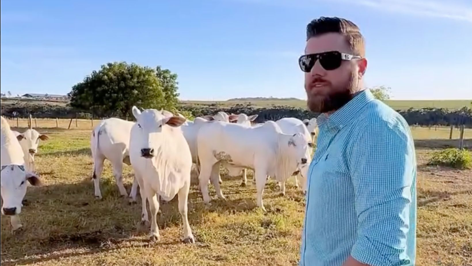 Zé Neto: do palco as pistas, a paixão sertaneja pela raça Nelore