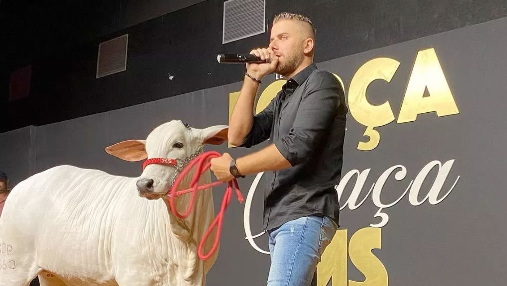 ze neto com animal nelore - nelore joy