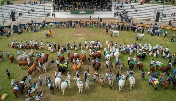 Expointer 2025 tem aumento de 47,69% na inscrição de animais de argola