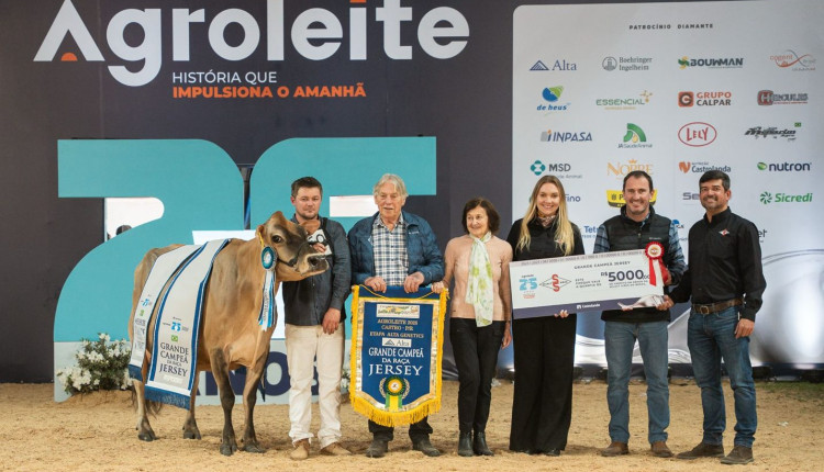 Campeã de Gado Jersey Adulto no 25º Agroleite destaca qualidade e genética