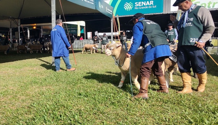 Arco bate marca dos últimos 15 anos em inscritos para a 48ª Expointer