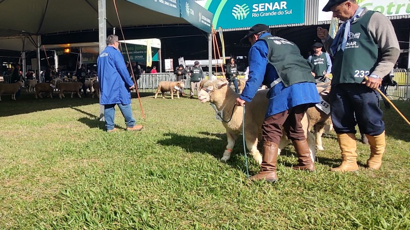 Arco bate marca dos últimos 15 anos em inscritos para a 48ª Expointer