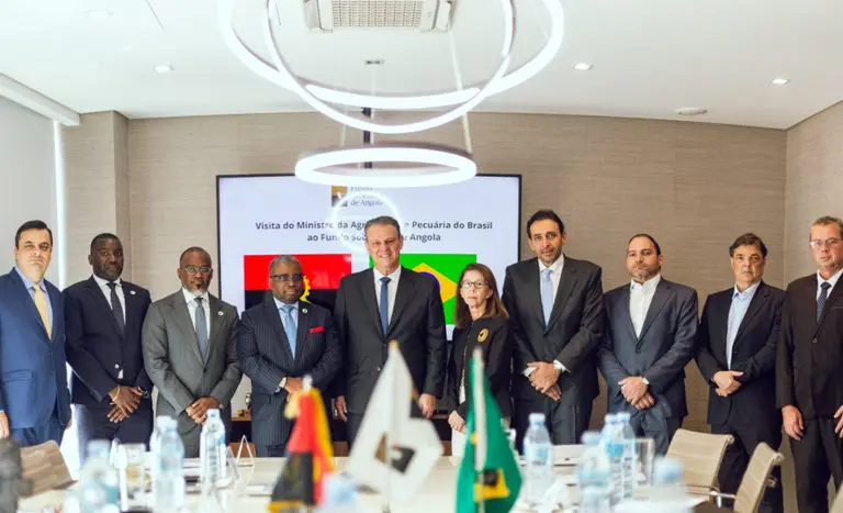 Brasil e Angola avançam em pautas agropecuárias durante encontros com autoridades angolanas