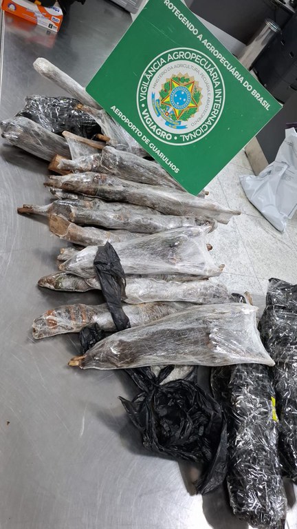 Mapa apreende mais de 130 animais e partes de alto risco sanitário provenientes da Nigéria