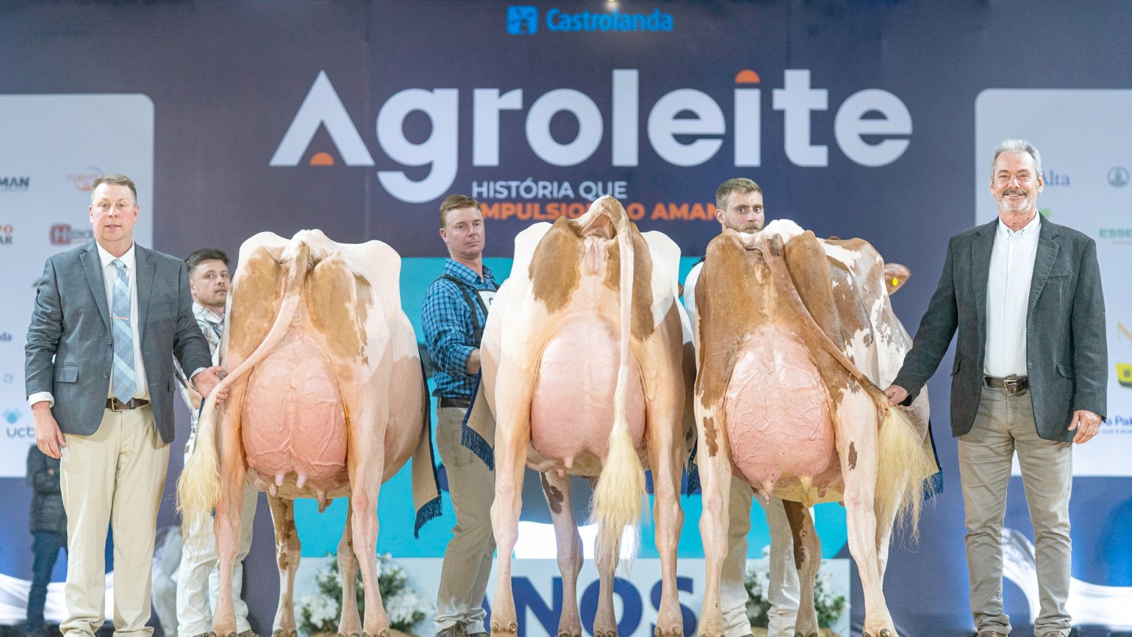 Agroleite Castrolanda no Parana - leite - Holandes Vermelho - capital nacional do leite