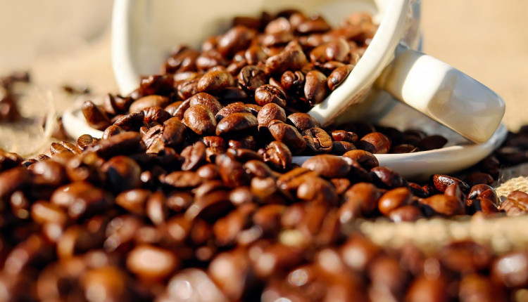 Taxa de 50% dos EUA preocupa, mas cafeicultores mantêm foco na qualidade