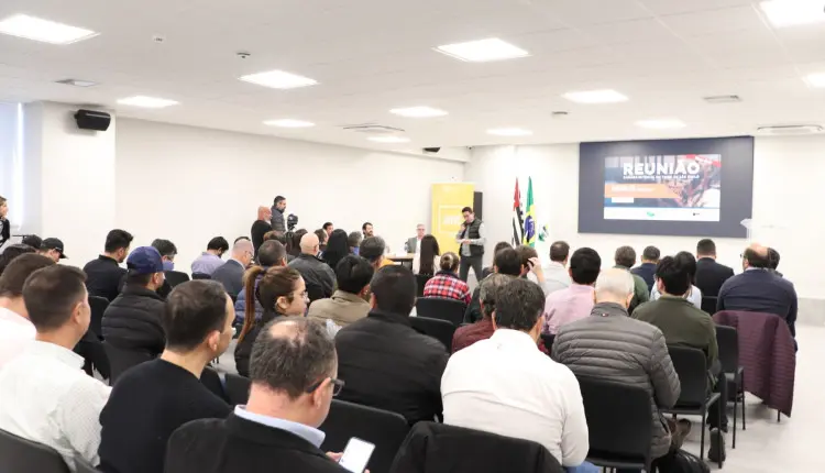 Estimativa da Câmara Setorial do Trigo considera clima favorável e baixa incidência de doenças, apontando uma das melhores safras dos últimos três anos