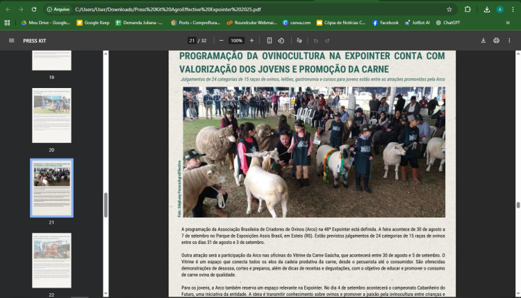 Programação da ovinocultura na expointer conta com valorização dos jovens e promoção da carne