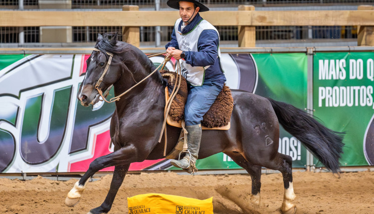 ABCCC: Prova histórica vai marcar a grande final do Freio de Ouro, durante a 48ª Expointer
