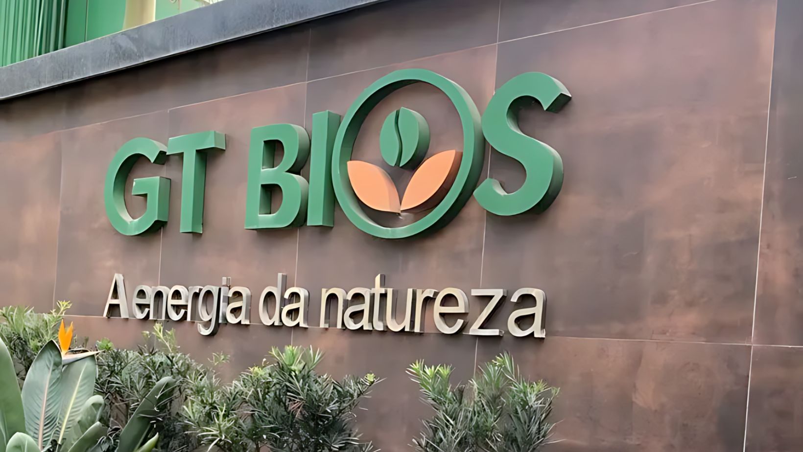 GT Bios Industria Oleos