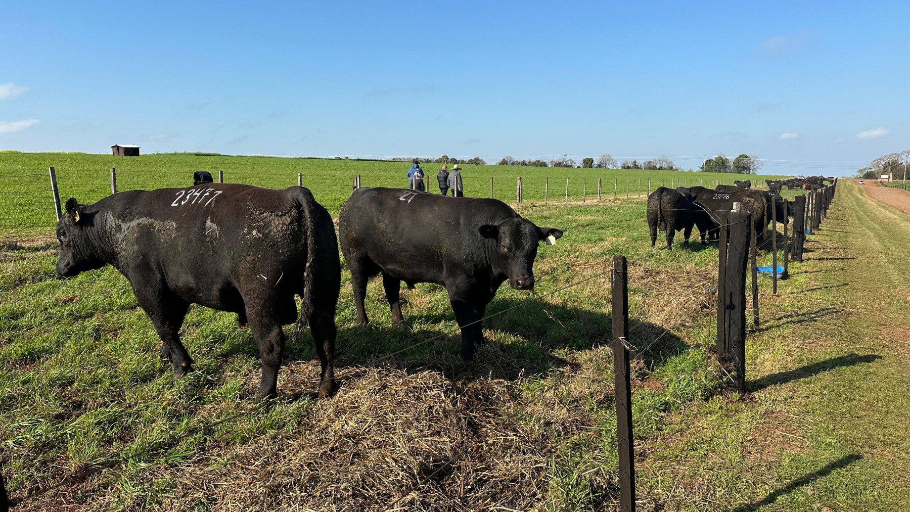 Atração de investimentos marca início da Primavera no RS