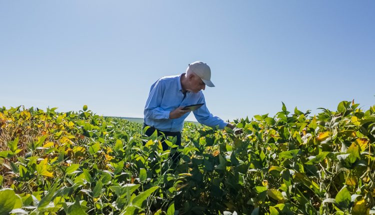 Inoculantes de alta performance elevam eficiência das lavouras e antecipam nova era para a agricultura brasileira