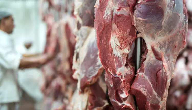 81 países importam carne bovina de Mato Grosso; China lidera compradores