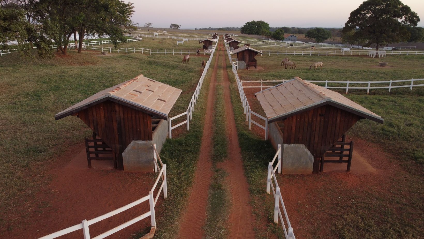 JLC Construcoes Rurais - linha de piquetes com baias para alimentacao
