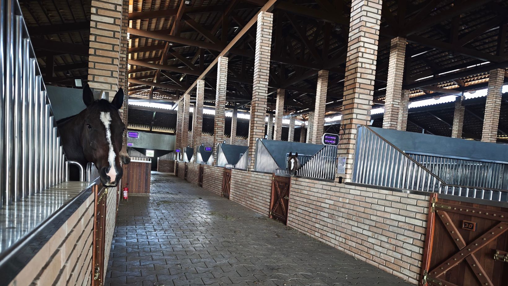 JLC Construcoes Rurais - piquetes com baias para alimentacao dos equinos 2