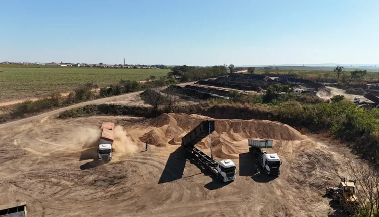 Carga de soja com fezes e roedores mortos vira fertilizante orgânico