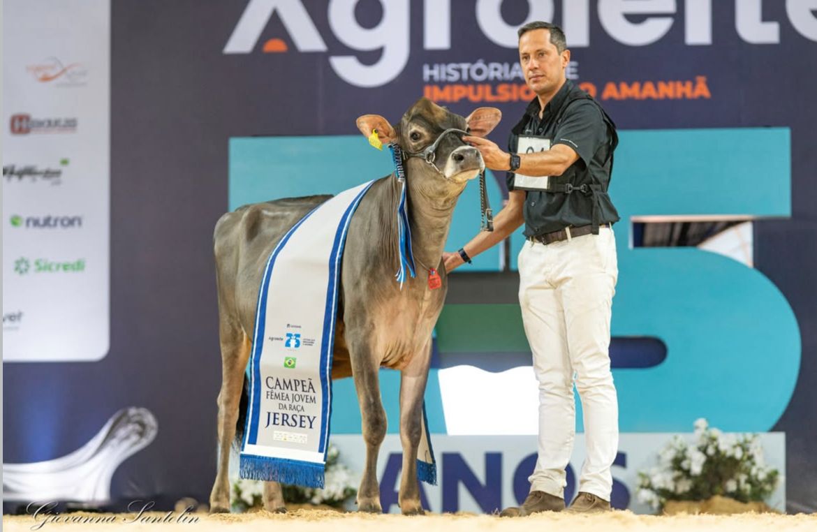 Agroleite 2025: Nanda Celebrity Avistoso conquista bicampeonato e novas gerações da raça Jersey se destacam