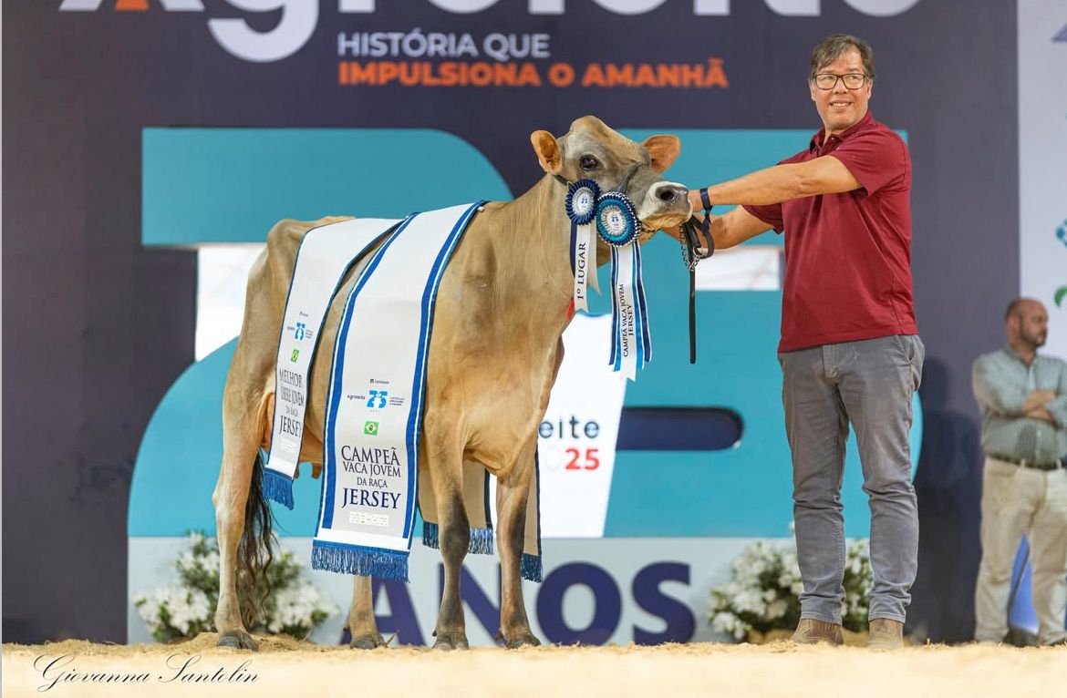 Agroleite 2025: Nanda Celebrity Avistoso conquista bicampeonato e novas gerações da raça Jersey se destacam