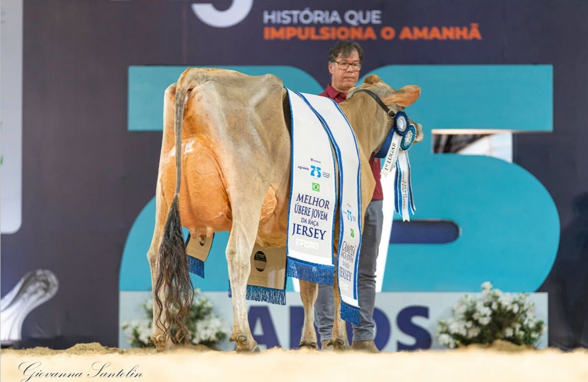 Agroleite 2025: Nanda Celebrity Avistoso conquista bicampeonato e novas gerações da raça Jersey se destacam