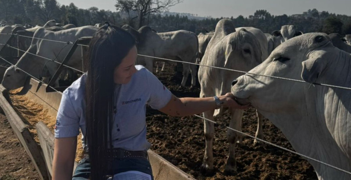 Bem-estar animal no confinamento: tendência de mercado ou necessidade econômica?