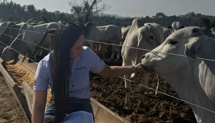 Bem-estar animal no confinamento: tendência de mercado ou necessidade econômica?