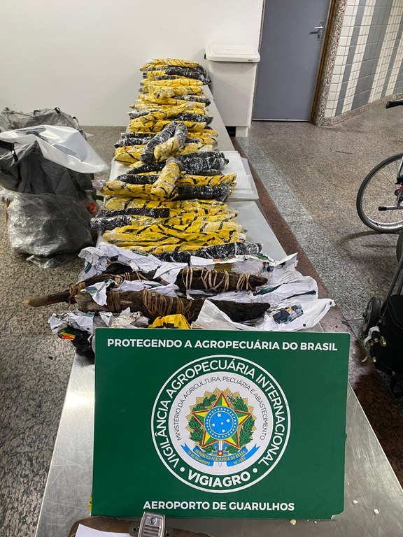 Mapa apreende mais de 130 animais e partes de alto risco sanitário provenientes da Nigéria