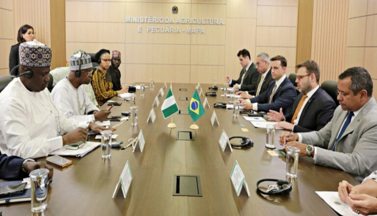 Brasil e Nigéria avançam em parceria agropecuária para ampliar comércio e cooperação técnica