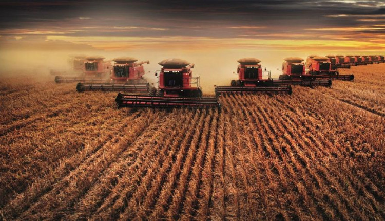 Gigante do agro vende fazenda por R$ 108 milhões no Matopiba; veja quem