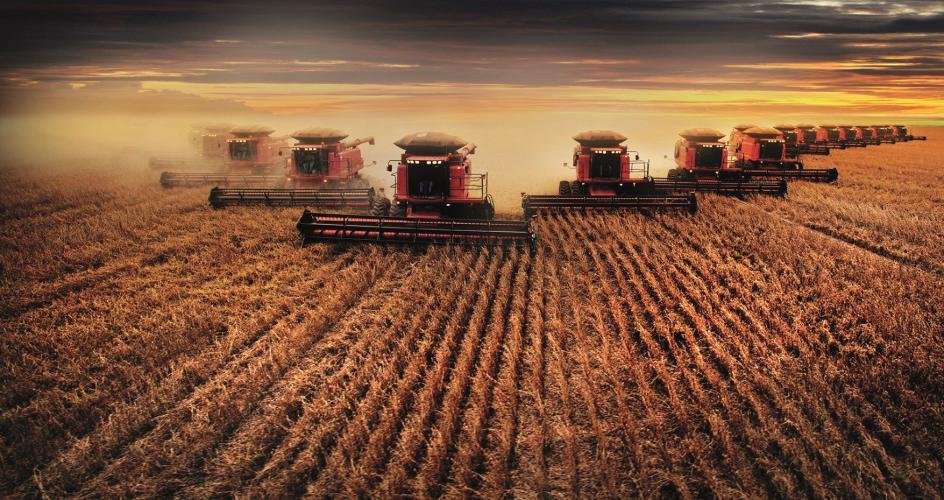 Gigante do agro vende fazenda por R$ 108 milhões no Matopiba; veja quem