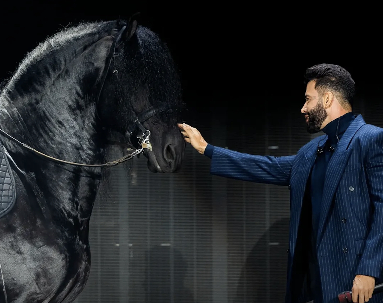 Gusttavo Lima procura sócio para cavalo Oregon, Friesian mais cobiçado do país