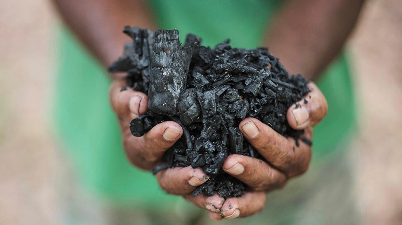 NetZero anuncia ganhos de até 20% na produtividade da cana com tecnologia de biochar