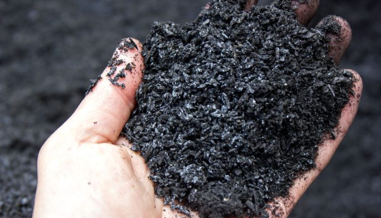 Biochar como estratégia de preservação é tema da Conferência da Mata Atlântica