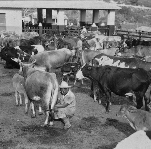 Como era a agricultura no Brasil antes da mecanização