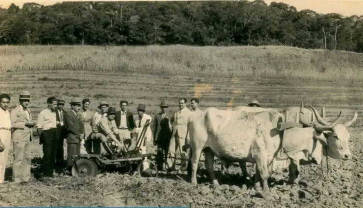 Como era a agricultura no Brasil antes da mecanização