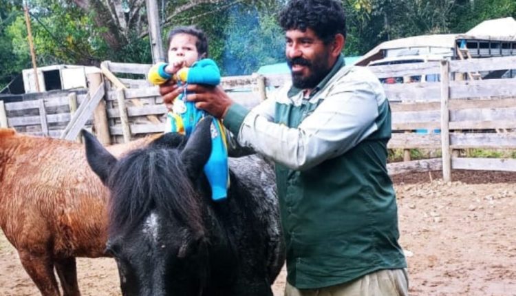 Bebê de três meses é gravemente ferido por boi em festival no Paraná