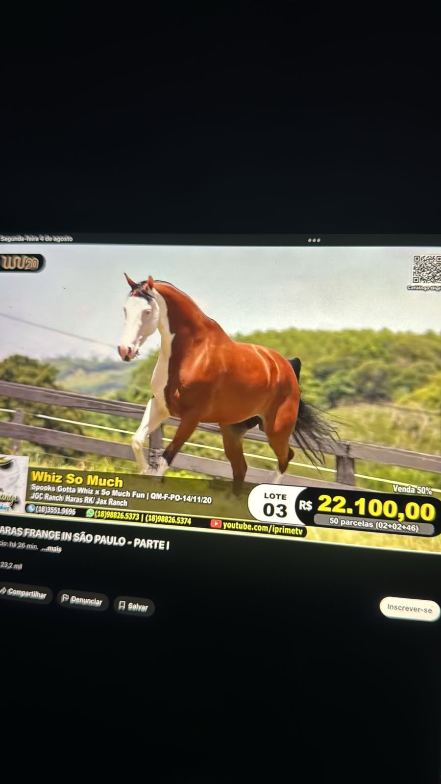 Zé Neto compra égua Whiz So Much