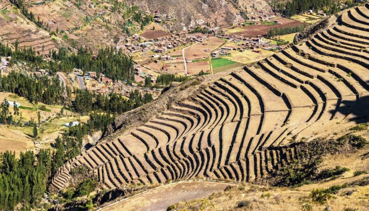 Como os incas criaram uma revolução agrícola séculos antes da tecnologia moderna