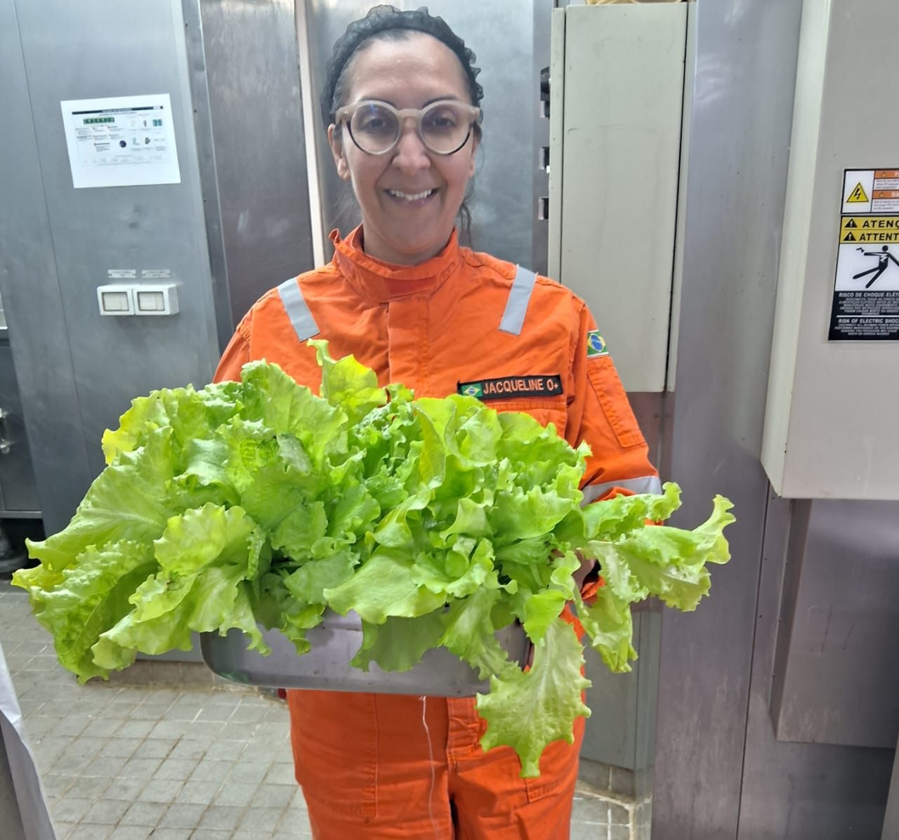 Temperos, ervas frescas e hortaliças podem ser cultivados em alto-mar?