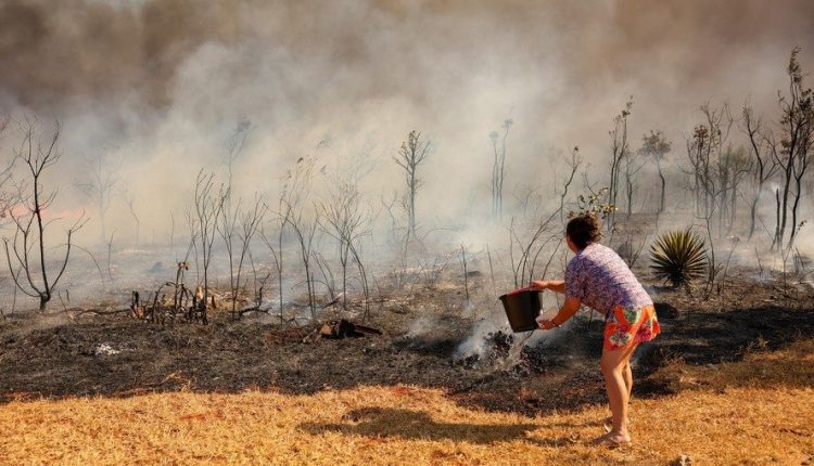 Brasil sabota seu maior ativo econômico com políticas internas e falhas contra crimes ambientais