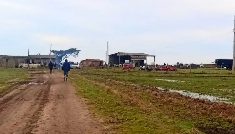 Fazenda invadida está localizada em Viamão (RS) | Foto: MST/Divulgação