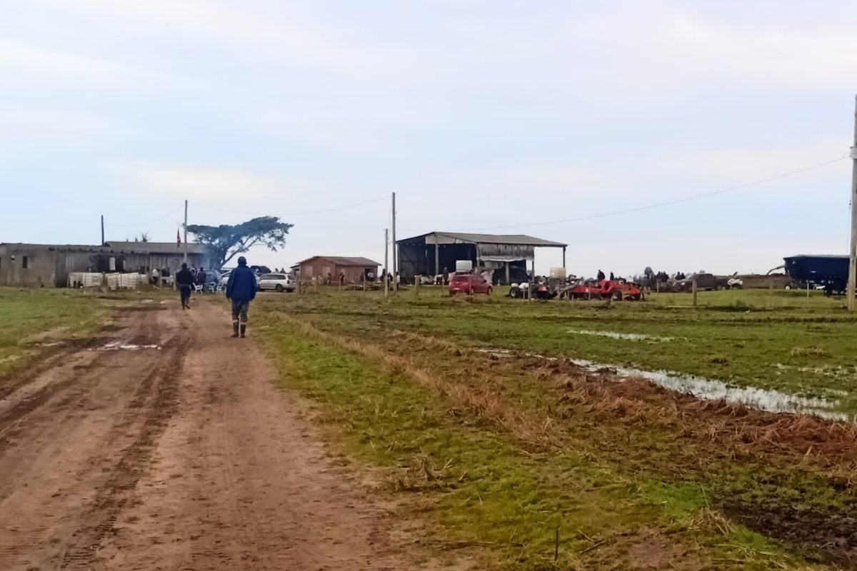 Fazenda invadida está localizada em Viamão (RS) | Foto: MST/Divulgação