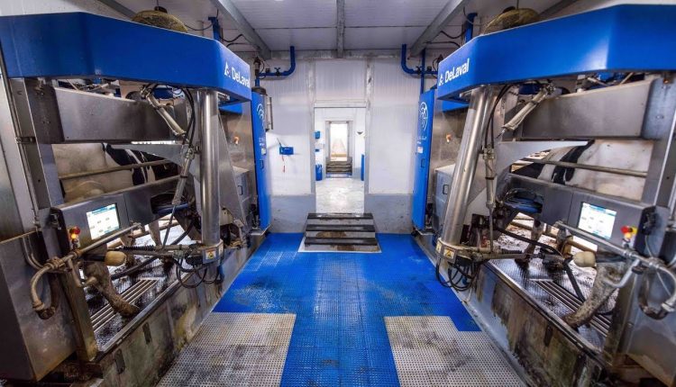 Ordenha robótica: entenda como a tecnologia transforma a rotina da fazenda 