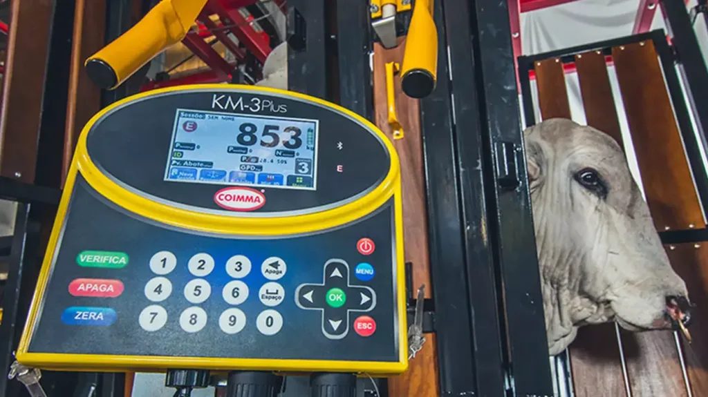 Balanças na pecuária: do balanção à balança de precisão