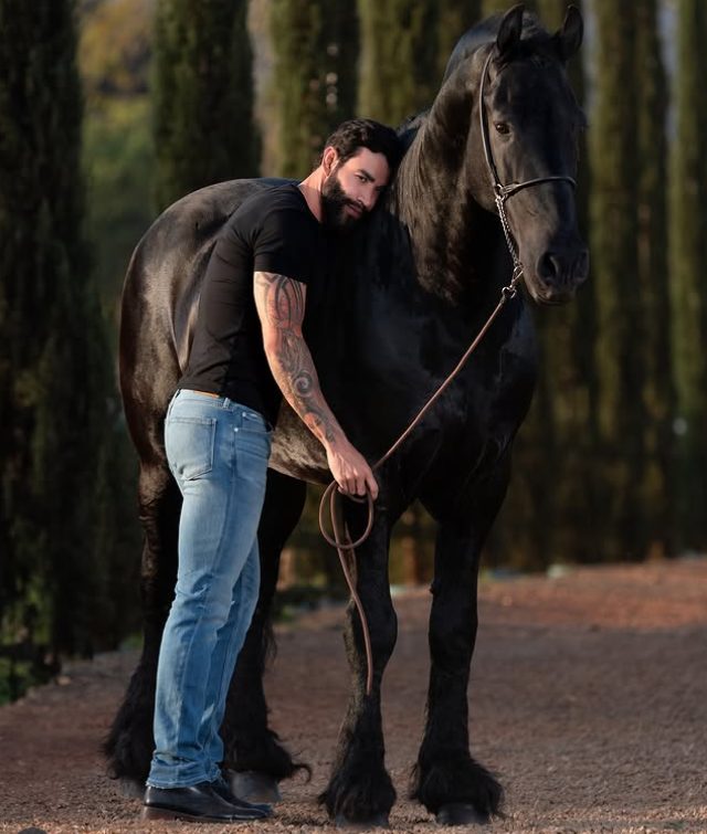 Cavalo Friesian Oregon - Gusttavo Lima