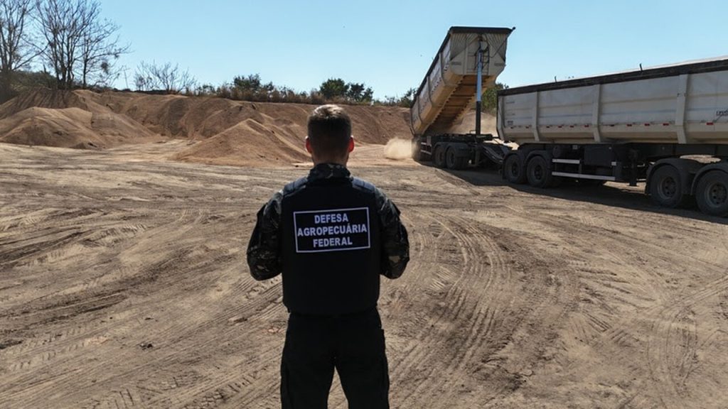 Carga de soja com fezes e roedores mortos vira fertilizante orgânico